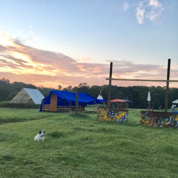 95534575 b4a2 4775 a177 52417c44d914