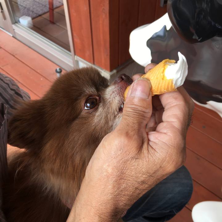 955394a9 60c2 4bdd 8524 898d70324a2e