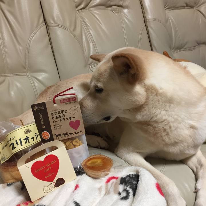 9553c5a3 bca2 4371 a078 03ae32d9579d