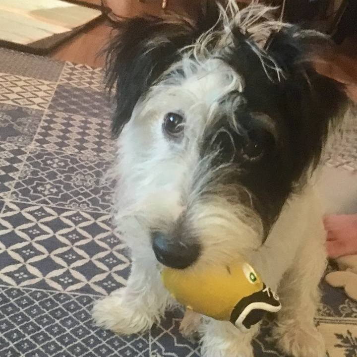 9554977a a8e1 43ef 9410 f7700d3067b5