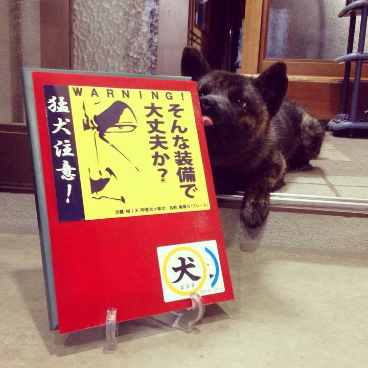 95555165 c660 439b b4e4 602d3f1ad14f