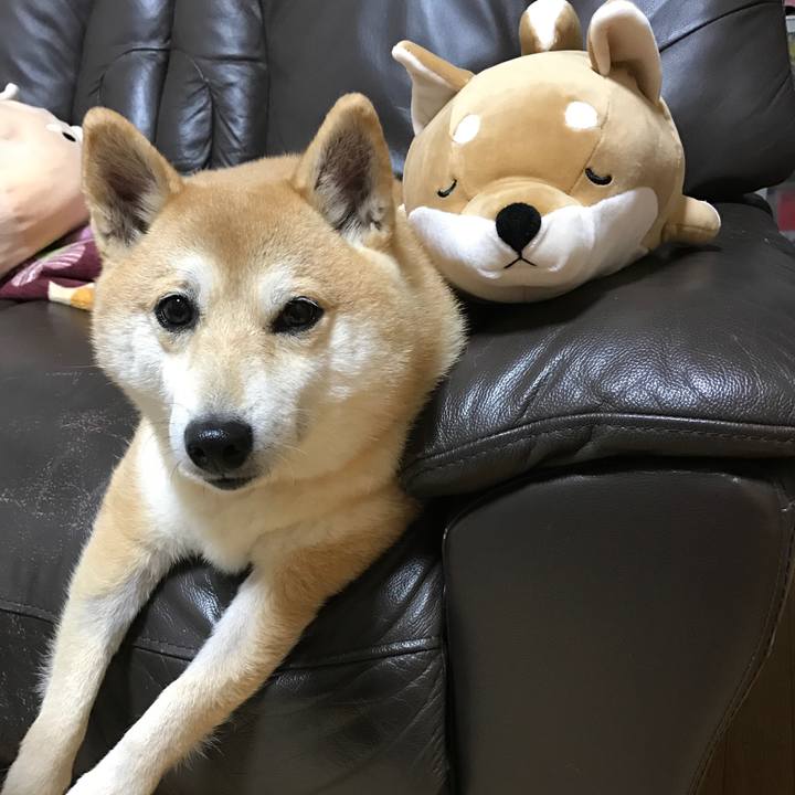 9556afdf d782 4562 bc9b 9180f0841c47