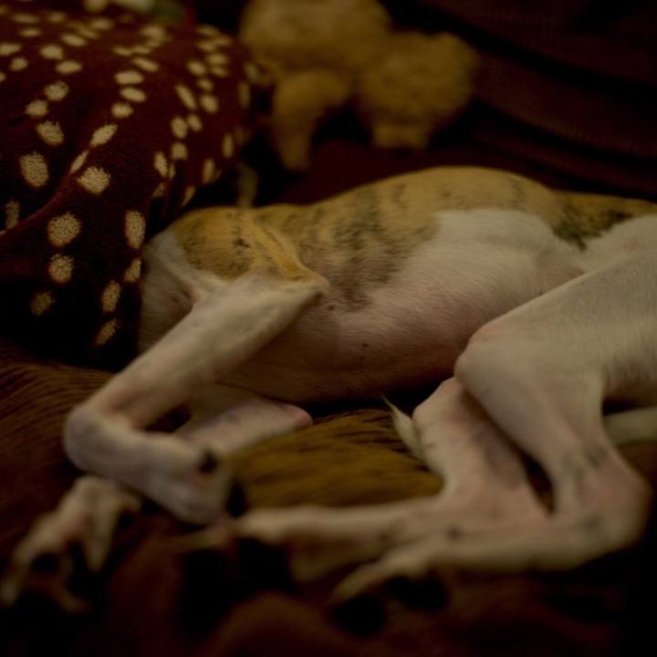 9557b138 22f4 4344 8562 0df27dd4b0d2