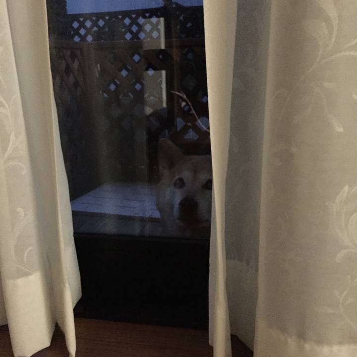 9557de3c 6098 42e9 9e6b 65e8adb5ec9f