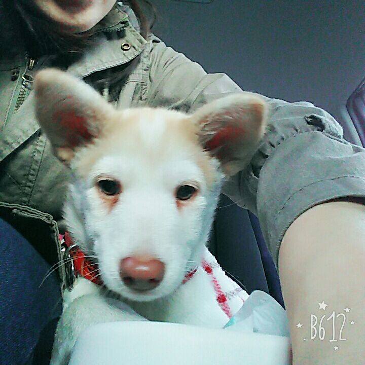 9557ffae f37c 4cdd a868 44572a4b2cb6