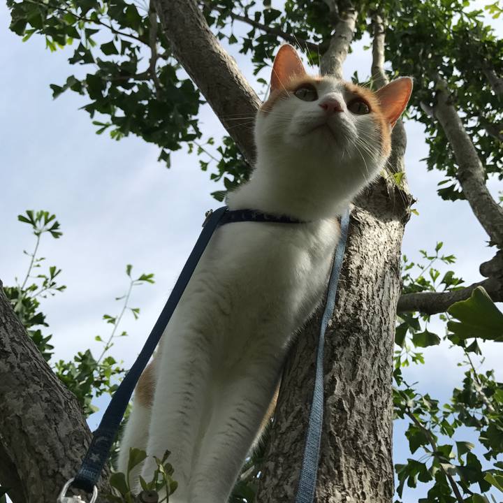 9558547b 7dff 4f88 93f3 a4aa3ab2477d