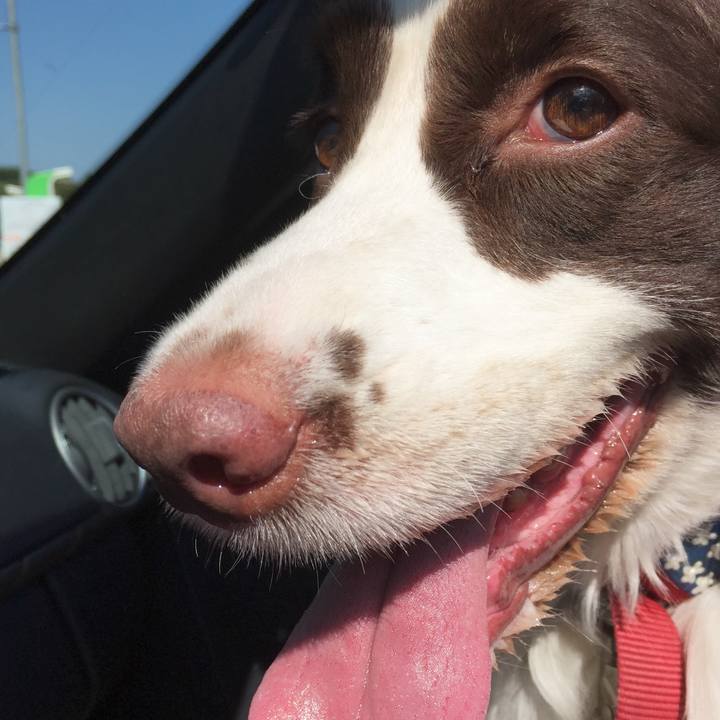 9558a293 8207 4e53 89e8 e4bd4ef5a781