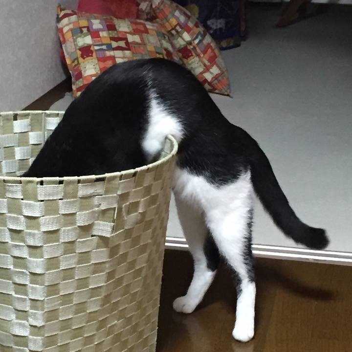 9558b25c 92de 466d bd4d 82fb0e3aa897