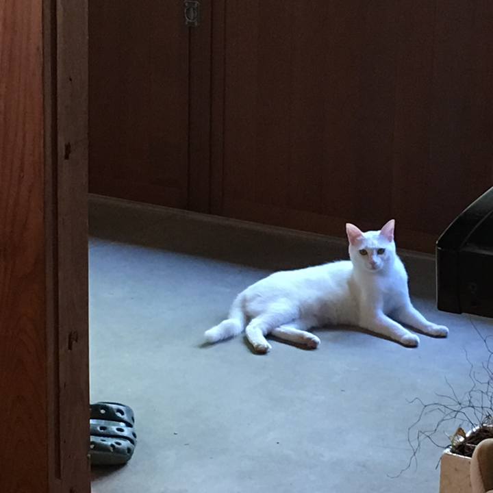 9558bc4b 15de 45d9 9ef9 7ce02ee111b3