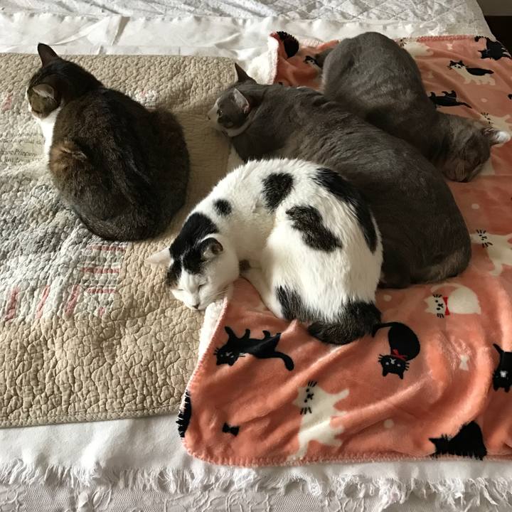 9558feb3 f3eb 4c84 8c48 d851c07d0e6f