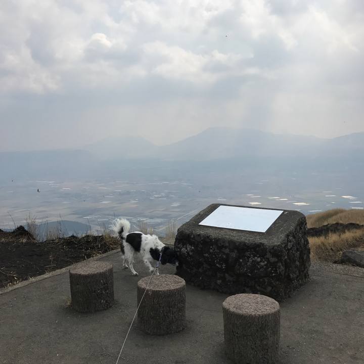 9559d8f1 ae7a 46f3 93b0 32ac7cbff928