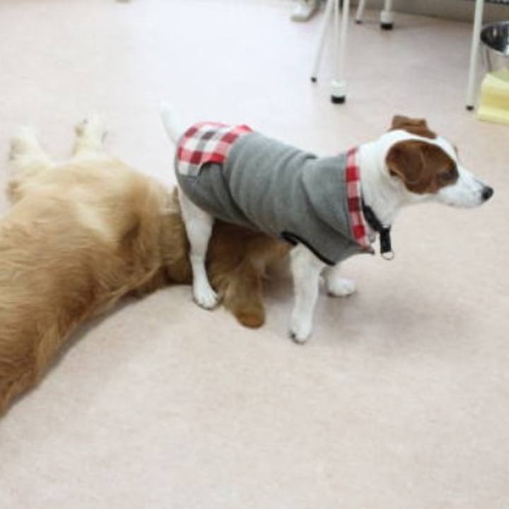 955a2d31 fff6 4539 9715 fcaf2fc241a8