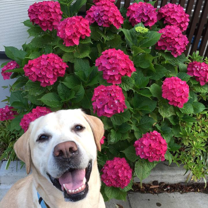 955a8a8b 92dd 4ba7 bbd4 1639f0db8480