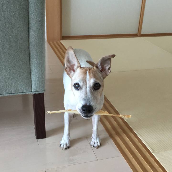 955b8233 3ba9 4325 9c7f ff21232cc347