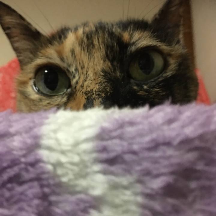 955bf06b 7e73 4536 b056 cd557218872d