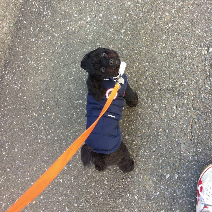 955c5722 56bd 4486 b6ee 5b6c541d814a