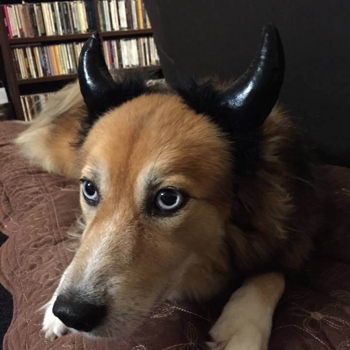 955c8835 1c5c 4c28 9146 1c34bb4d3424