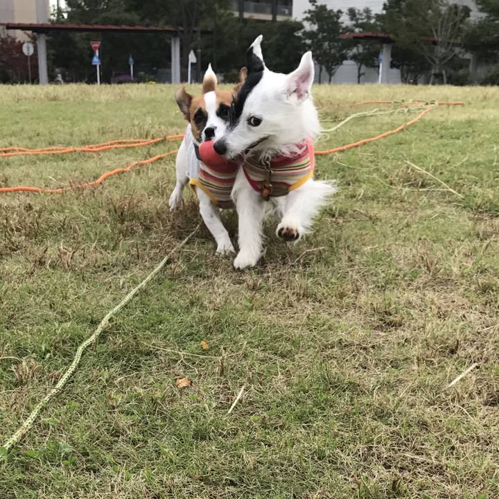 955cc289 f28d 4596 9ce2 58f3ed6d7247