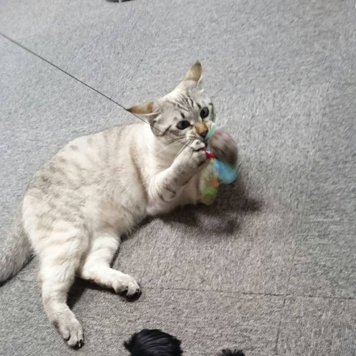 955d7d41 c596 4b85 a3ef 5689bfc8ef3d