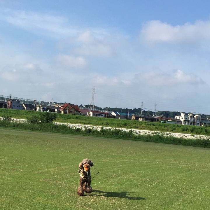 955db7b2 9de7 48b0 b2c4 7c8fb6fefe6c