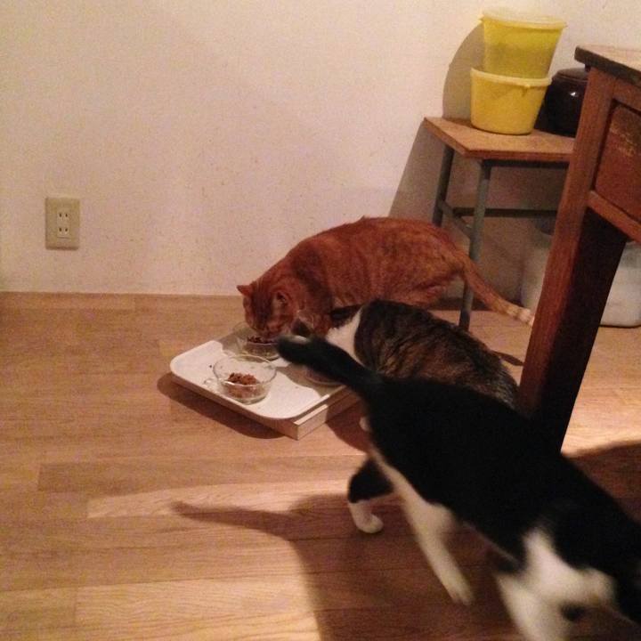 955e25ba 8b8c 49cc b954 8deeb984d14c