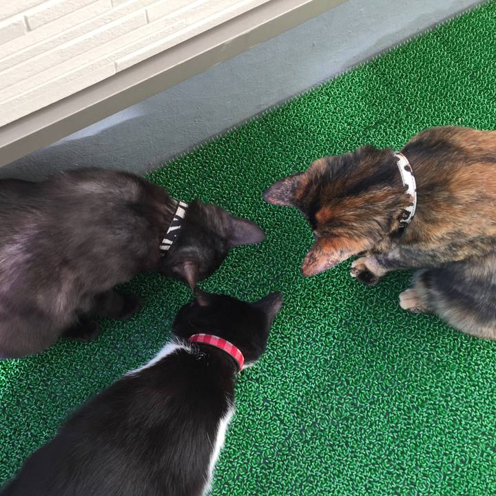 955e6329 0fd7 41be b654 50845ae14680