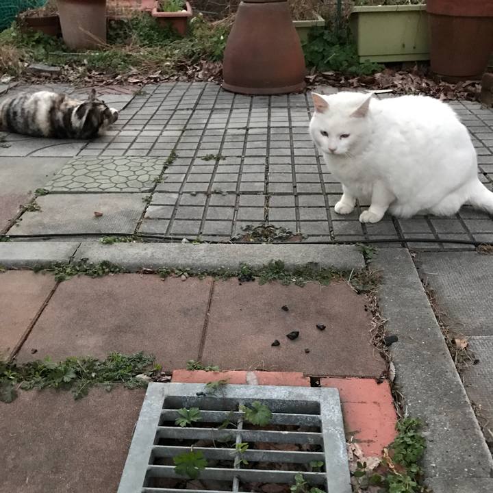 955e77f1 1e14 43d1 b9e2 3e7ad49ff516