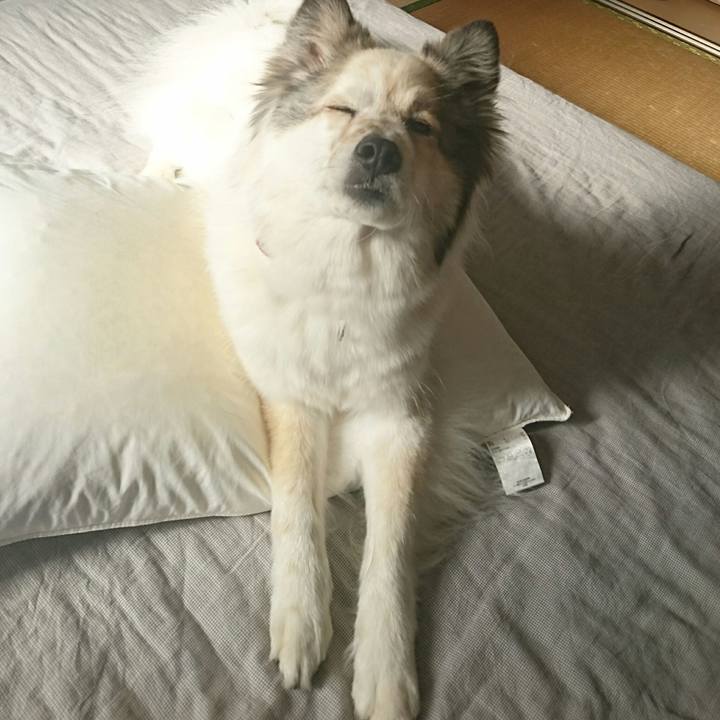 955ebb9a 4e71 4e7f 972c eace0794093e