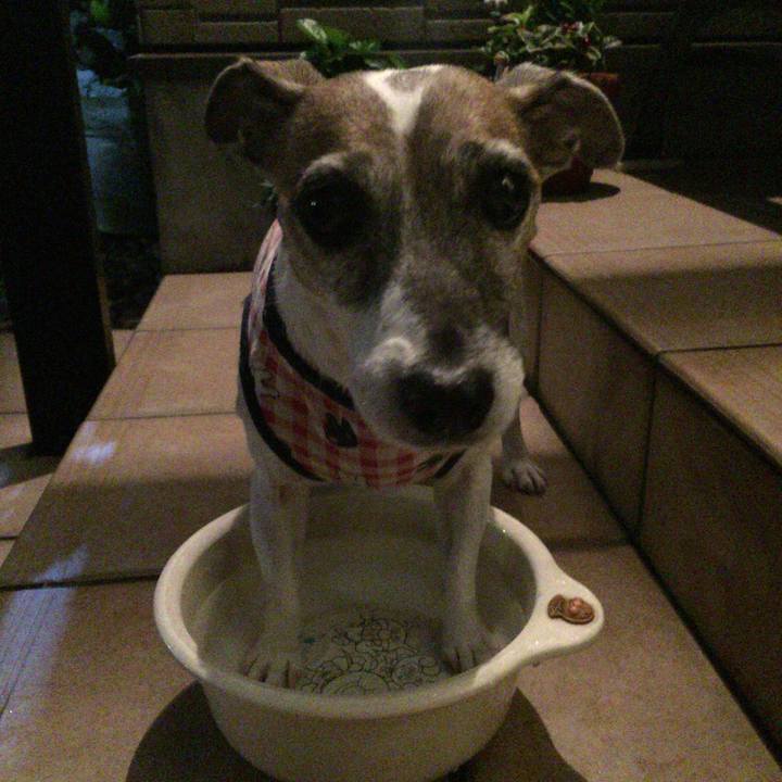 95603617 3044 4fa3 a301 64b79fd7e8b0