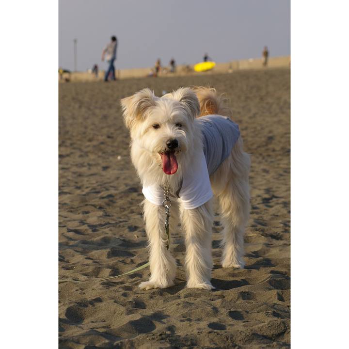 95605a62 df03 4184 bb75 865a9d3c2022