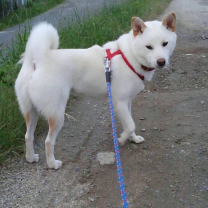 9560eab6 594d 44fd b29a 77aa03de7a27