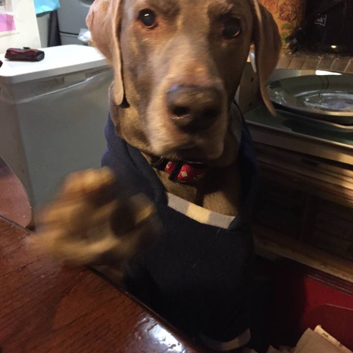 9561b7a3 64f4 486d 906f 1dd7a33ec6ed