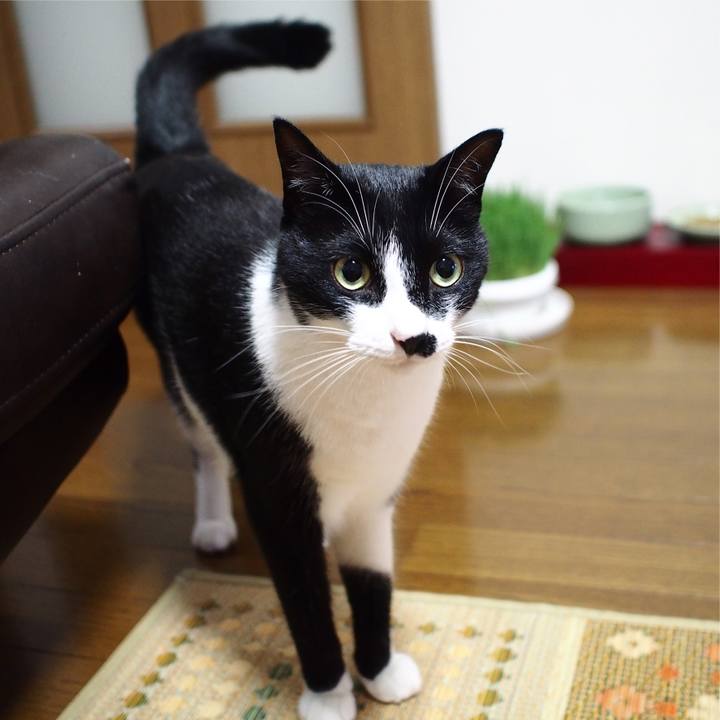 95620592 60f2 4c32 a594 3bc559d05971