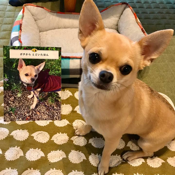 95620609 1ff9 4a3f 948c 137001644c18