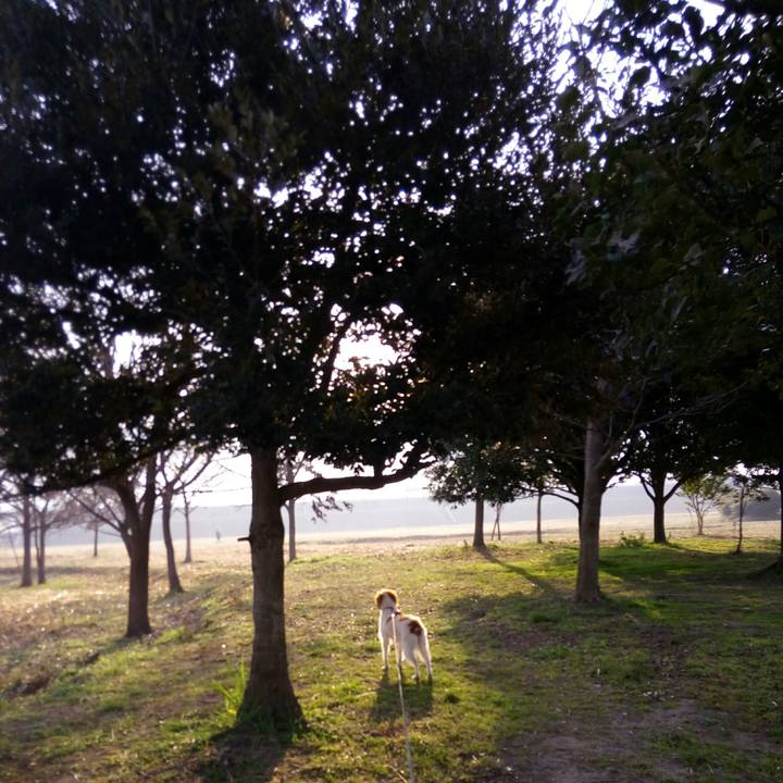 95622028 3fd0 44fc b43e 8a3c36939693