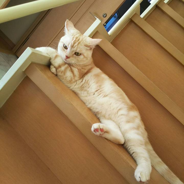 95623235 d5c5 4513 a366 5ab84342eaf7