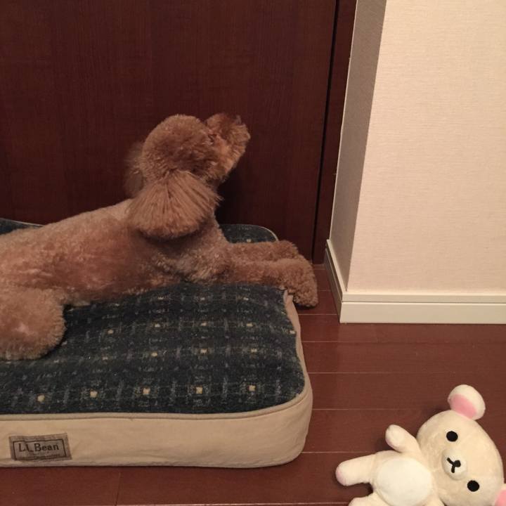 9562c155 8772 4d9c 912d 5fb0f04fcb30