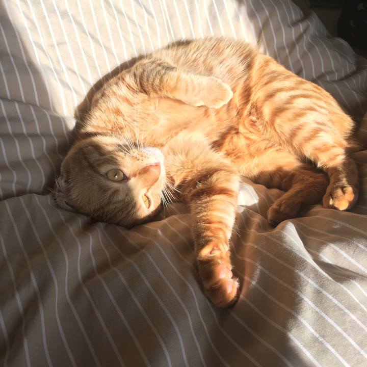 956377d7 c420 4195 a9ef 43f0472e29df