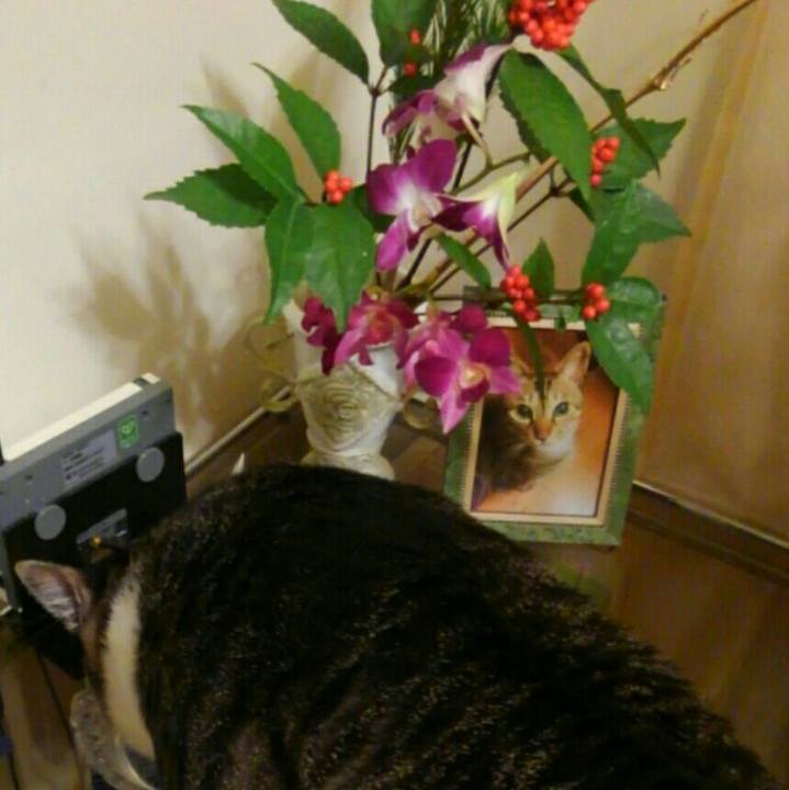 9563cab9 6ac0 4cfb 872b 9aef06dd3373