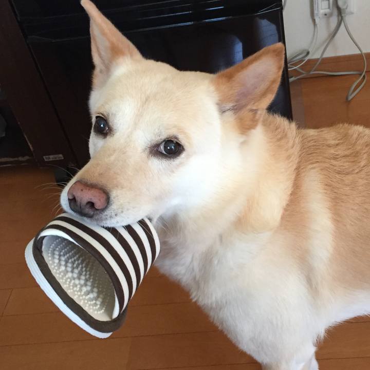 9563ff70 d7df 4fea 82b0 0e8353becc71