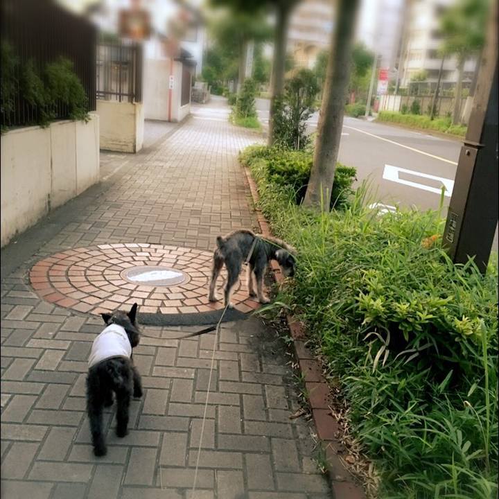 95640eb3 7bdc 4c43 879d 86dcf2f782f9