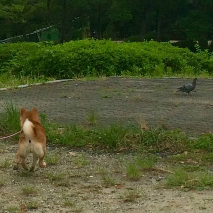 95647e0a 61b4 40d8 9761 8de265266617