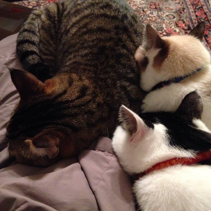 95648aa8 a96a 4c7d 949d c2aae22c2fb0