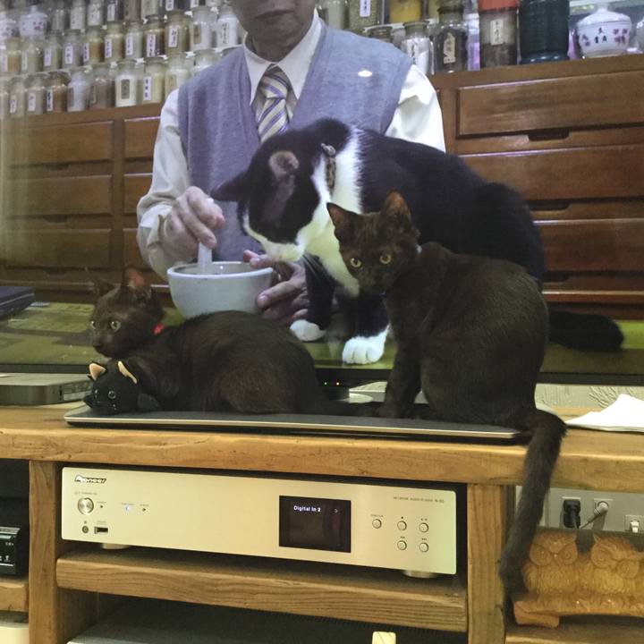 9564b41e 2353 4881 abf3 641be928d821