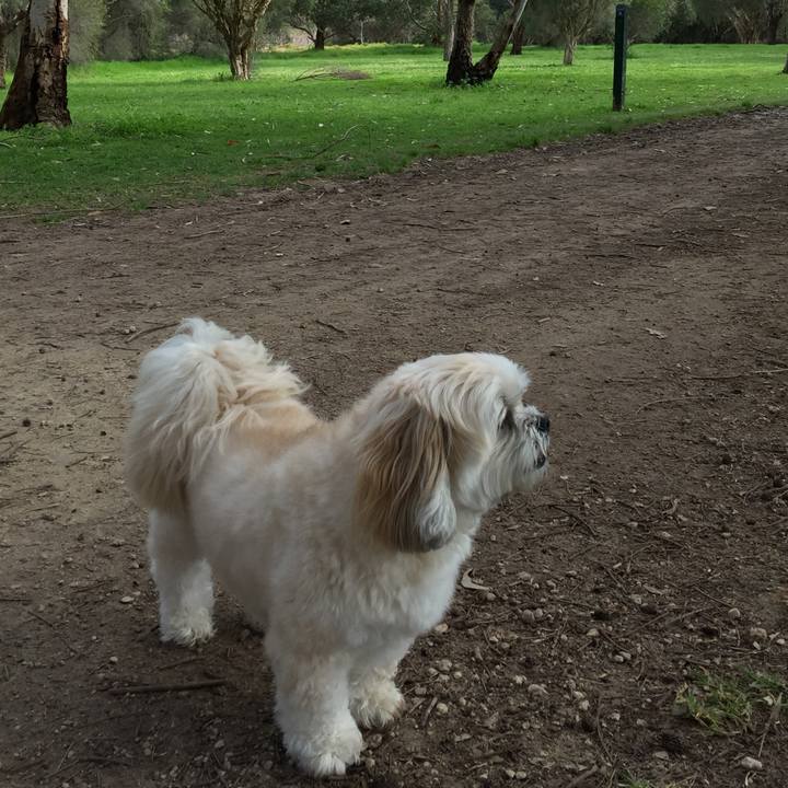 9564fb70 cd3c 40a5 a35d 3563194ccfce