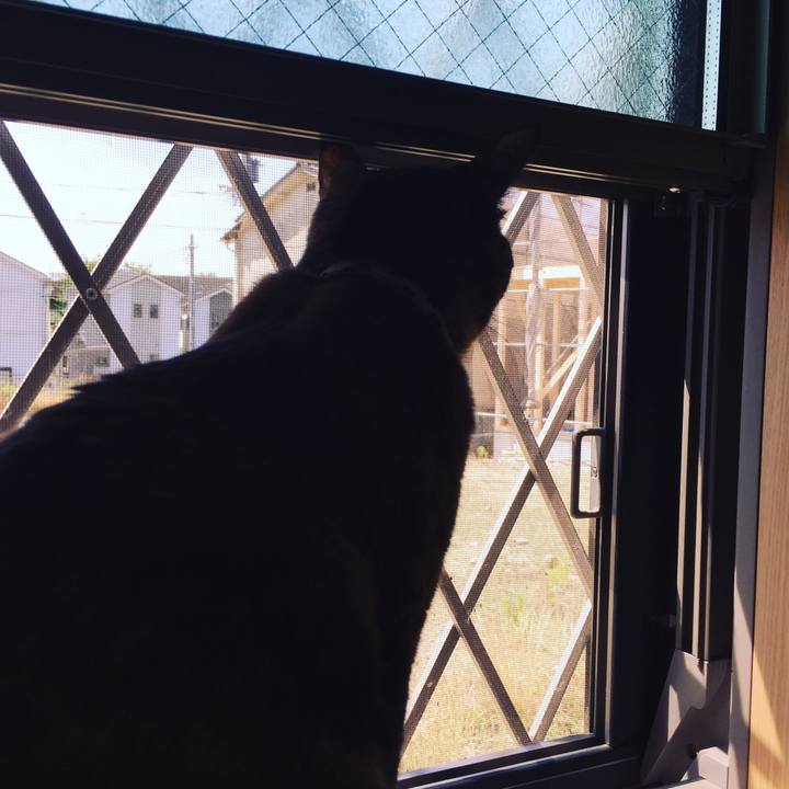 95659fb9 7c2a 43bb 8163 bd38d0455834