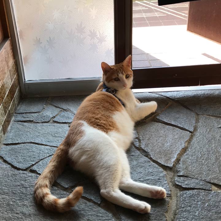 95665f8b 6382 4f52 a699 722d1268b1f8