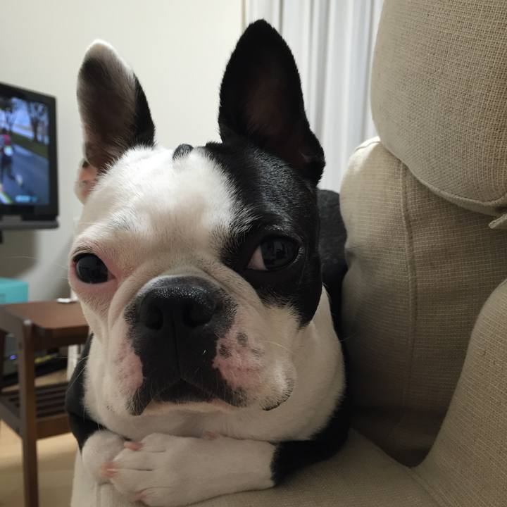 95666004 417b 425d 944a 4fc023069110