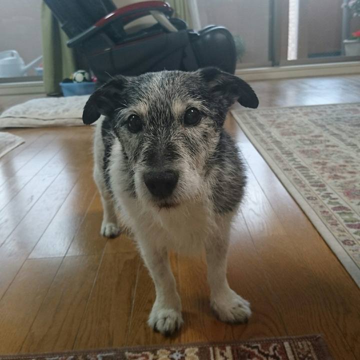 95670d50 e799 4daf 9b93 af6283b83ed1