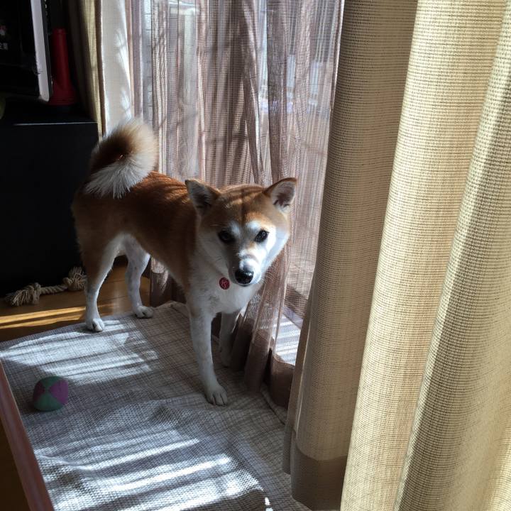 95673192 c6b9 4f31 9d50 8ee08ca04ab6